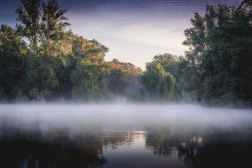 Teich im Georgengengarten in Hannover an einem nebligen Morgen