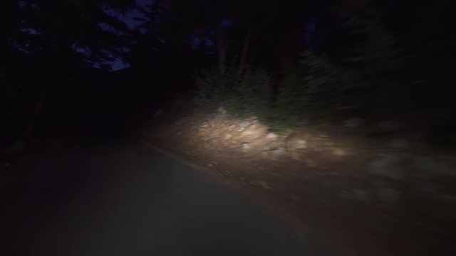 Alpine Forest Narrow Road At Night Driving Plate Rear View 02