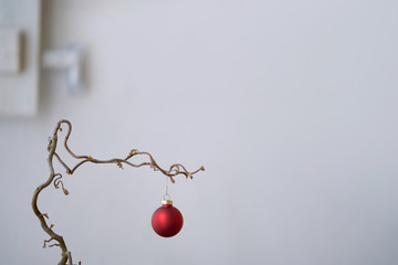 Christmas elements decorated in front of white wall