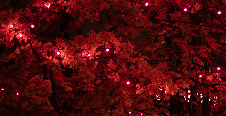 red moody background, fall colors and lights in the rain 