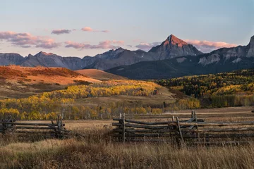 Fotobehang Autumn Aspen Color © brent coulter