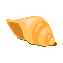 Shell icon. Seashell isolated on white background.