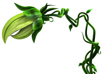 Plant Vines Bite, Closed