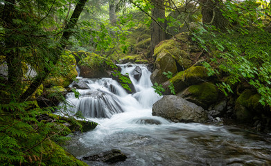 small waterfall in the forest