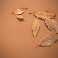 invitation paper mockup decorated with dried leaves
