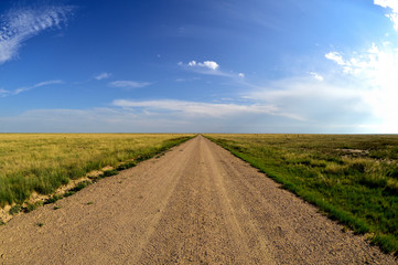 rural dirt road in the field