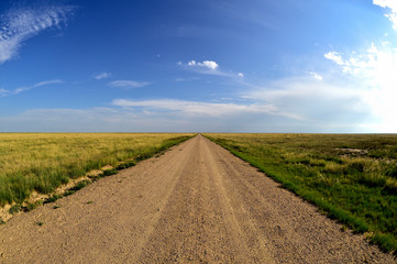 Fototapeta na wymiar rural dirt road in the field