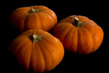 Small seasonal orange pumpkins with textured background with black background