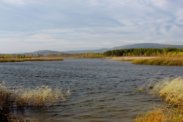 The picturesque bank of a river or lake covered with reeds. Cloudy day in the fall. Ripples from the wind on shiny water. In the blue sky clouds. The atmosphere of relaxation, wind, loneliness.