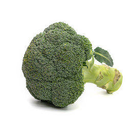 broccoli isolated on white background