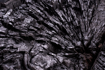 Closeup black coal background. Wood charcoal texture. Burnt tree