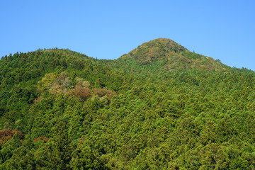Obraz premium 山