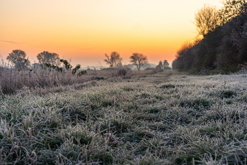 A park landscape in late autumn at sunrise and frost - 299867828