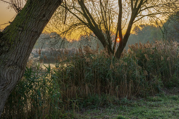 A park landscape in late autumn at sunrise and frost - 299867841