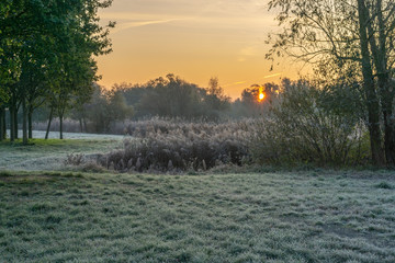 A park landscape in late autumn at sunrise and frost - 299867864