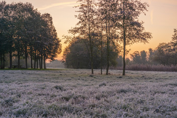 A park landscape in late autumn at sunrise and frost - 299867870