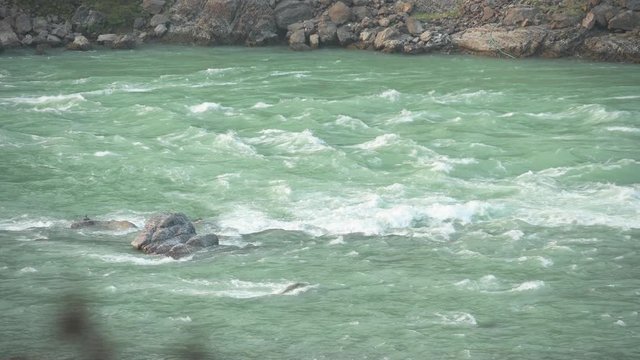Stunning video of the Ganges river flowing between some lush mountains in Rishikesh, Uttarakhand, India.