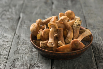 Clay bowl filled with autumn forest honeydew on a wooden table. Forest mushrooms on the table.