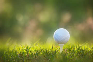 golf ball on tee in a beautiful golf course with morning sunshine