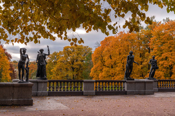 Golden autumn in Catherine Park, Pushkin, St. Petersburg, Russia.