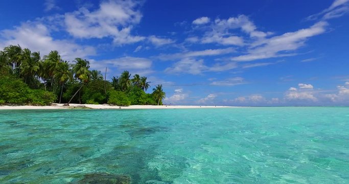 tropical beach background, beautiful beach with white sand and palm trees leaning over the crystal clear water Caribbean sea
