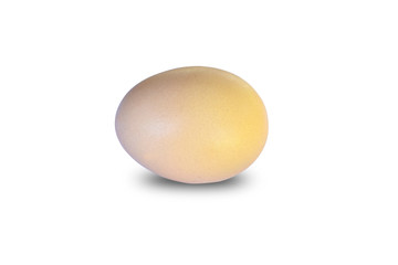 egg isolated on white background