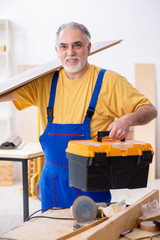 Old male carpenter working in workshop