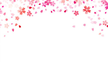 Sakura flowers background. Vector illustration.