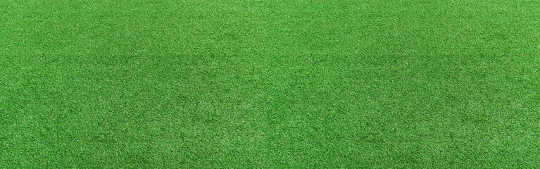 Green grass texture background. panorama picture
