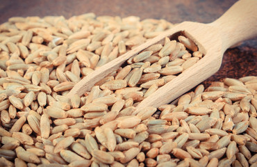 Heap of rye grains with wooden scoop