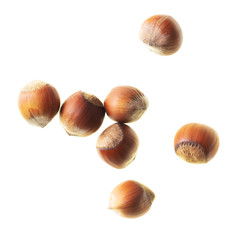 Hazelnuts nuts isolated on a white background