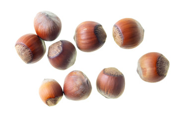Hazelnuts nuts isolated on a white background