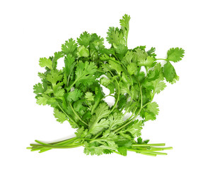 coriander isolated on white background