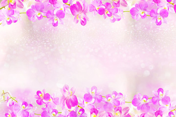 Fototapeta na wymiar beautiful pink and purple orchid flowers frame background 