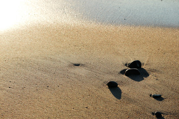 Fototapeta na wymiar stones on the sandy beach after the wave subsided