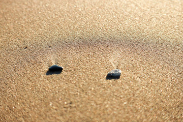 stones on the sandy beach after the wave subsided