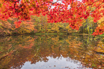 Towada Hachimantai National Park in autumn