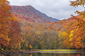 Towada Hachimantai National Park in autumn