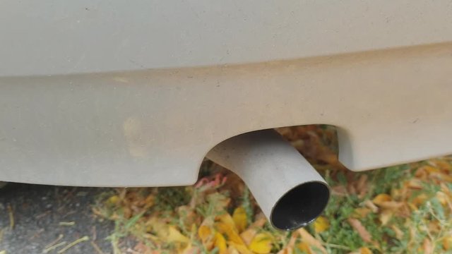 exhaust gases from the muffler of the car, poisoning the environment