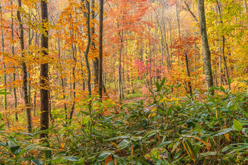 Towada Hachimantai National Park in autumn