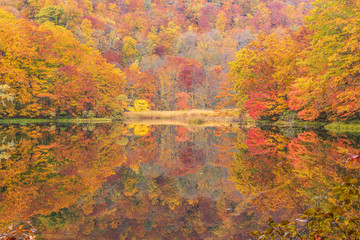 Towada Hachimantai National Park in autumn