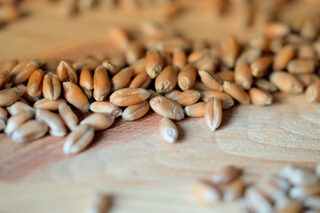 Wheat grains scattered on a wooden surface close-up. Toned background