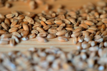 Wheat grains scattered on a wooden surface close-up. Toned background
