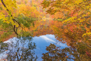 Towada Hachimantai National Park in autumn