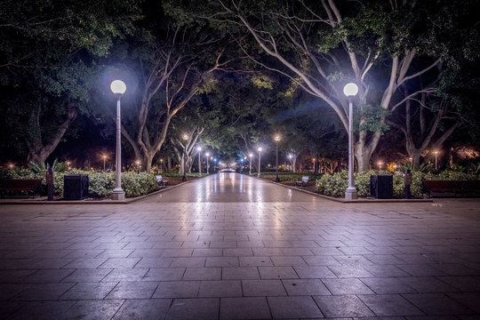 Park Lights At Night