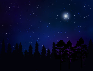 Forest landscape and starry night sky