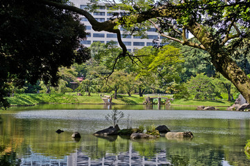 japaneese garden in summer
