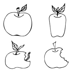 set of apples for coloring. doodle sketch on a white background. Isolated