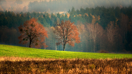 Jesienny Krajobraz