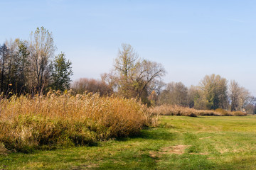 Fototapeta premium Dolina rzeki Narew i Supraśl w okolicy Złotorii, Podlasie, Polska